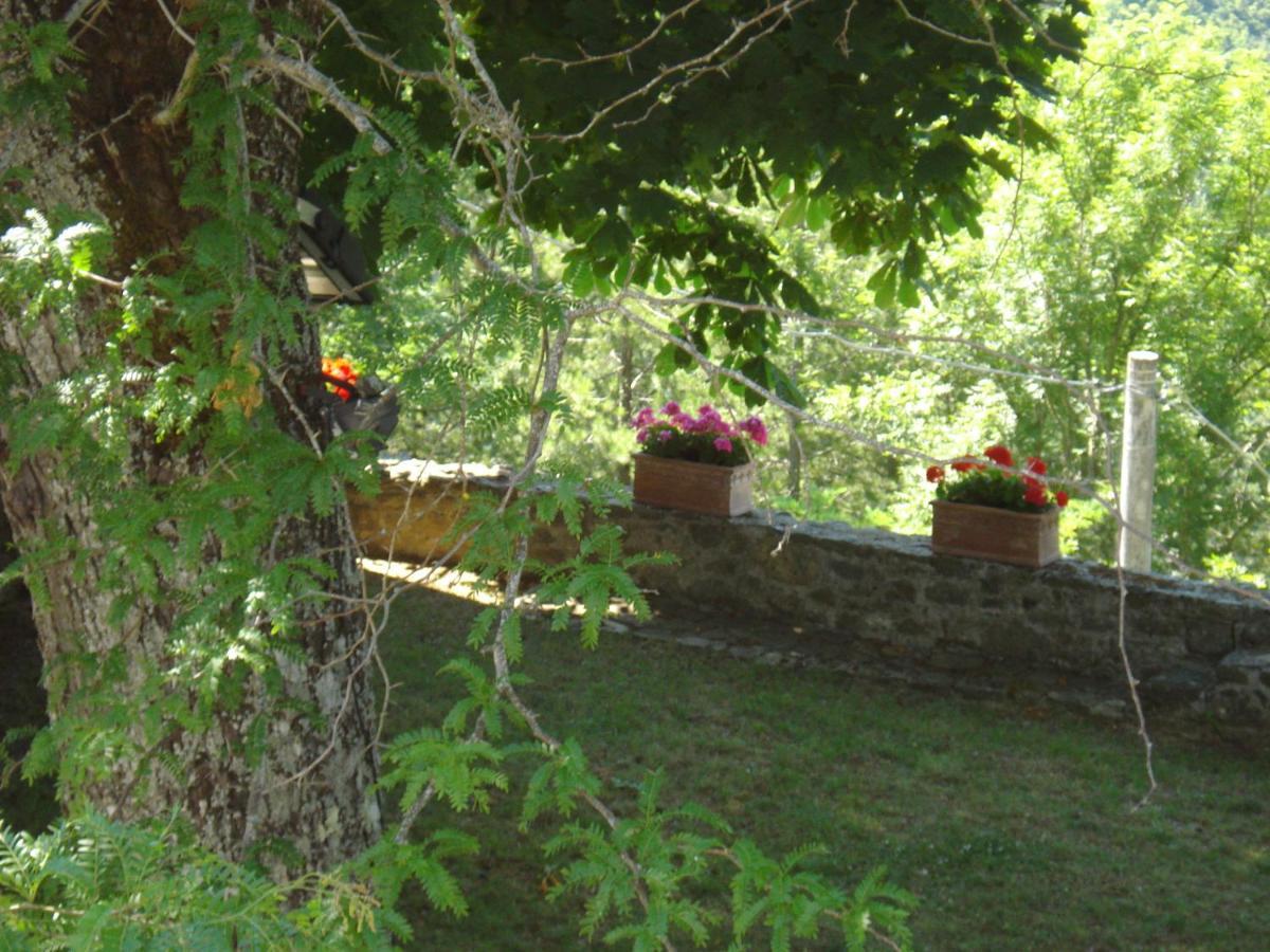 Villa Castello Di Sarna Chiusi della Verna Exterior foto