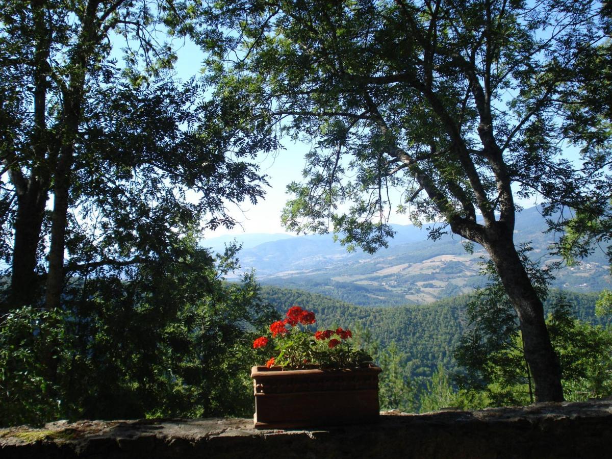 Villa Castello Di Sarna Chiusi della Verna Exterior foto